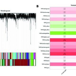 wpgdn|A comprehensive weighted gene co.